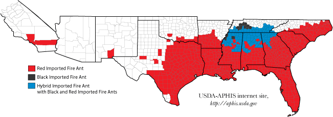 Map of imported fire ant quarantine areas, including areas infested by hybrid fire ants.  Photo by USDA.