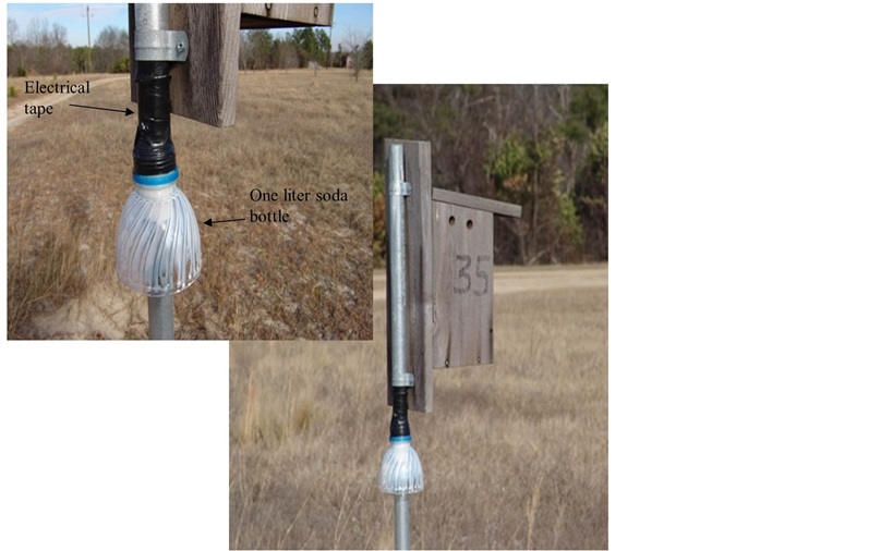 Shows a baffle that can be placed on a bluebird house pole